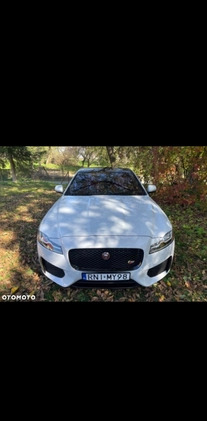 Jaguar XF cena 94000 przebieg: 131000, rok produkcji 2016 z Szlichtyngowa małe 92